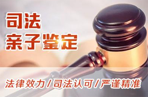 阳泉司法亲子鉴定条件和材料,阳泉专业的司法亲子鉴定机构哪有